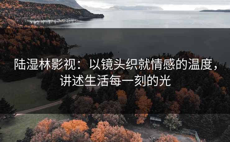 陆湿林影视：以镜头织就情感的温度，讲述生活每一刻的光