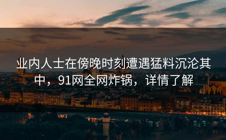 业内人士在傍晚时刻遭遇猛料沉沦其中，91网全网炸锅，详情了解